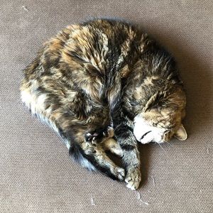 Meet your Posher, Janelle